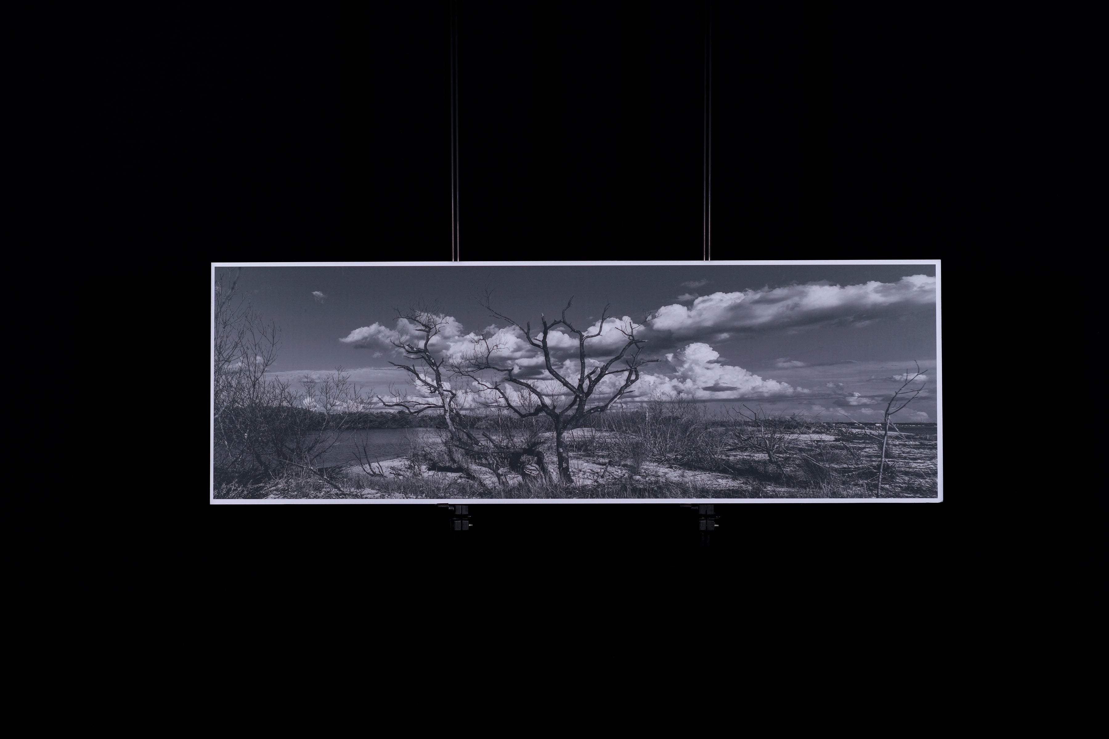 Fine Art Photograph, Coastal Strand 10"x30" Dry Mount with .25" reveal