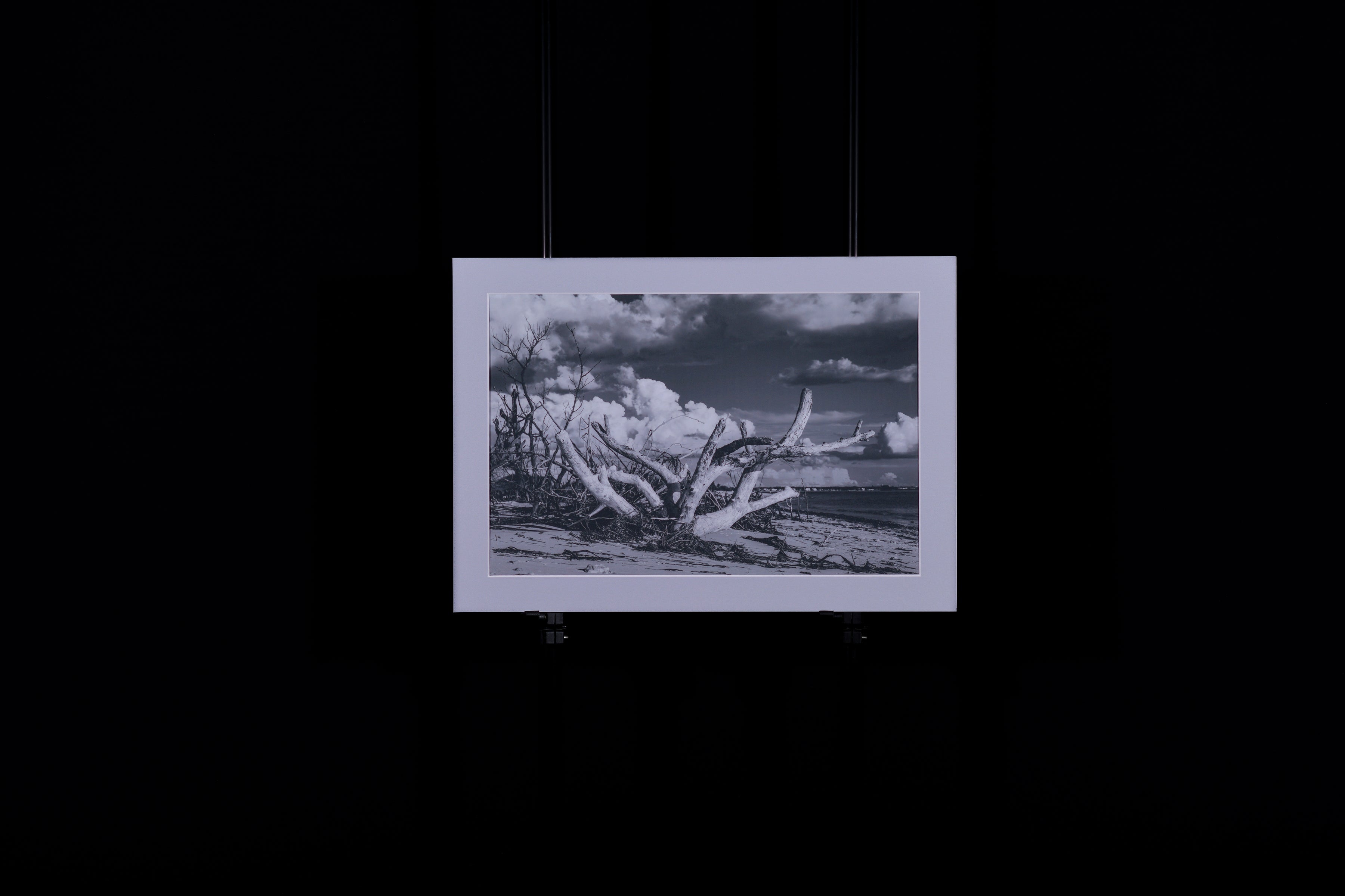 Fine Art Photograph, Mythic, 10"x15" print, Matboard 12"x17"
