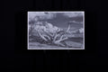 Fine Art Photograph, Mythic, 16"x24" Dry Mount, .25" reveal