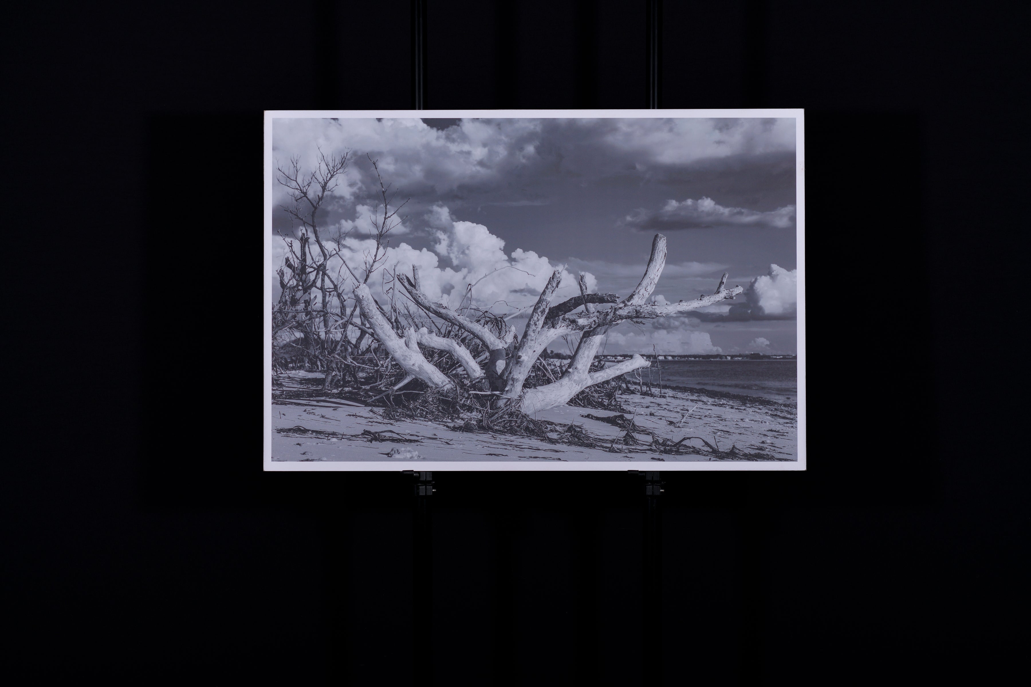 Fine Art Photograph, Mythic, 16"x24" Dry Mount, .25" reveal