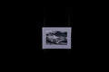 Fine Art Photograph, Mythic, 6"x9" print, Matboard 9"x12"