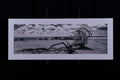 Fine Art Photograph, Untitled 01, 10"x30" print, 13"x33" Matboard