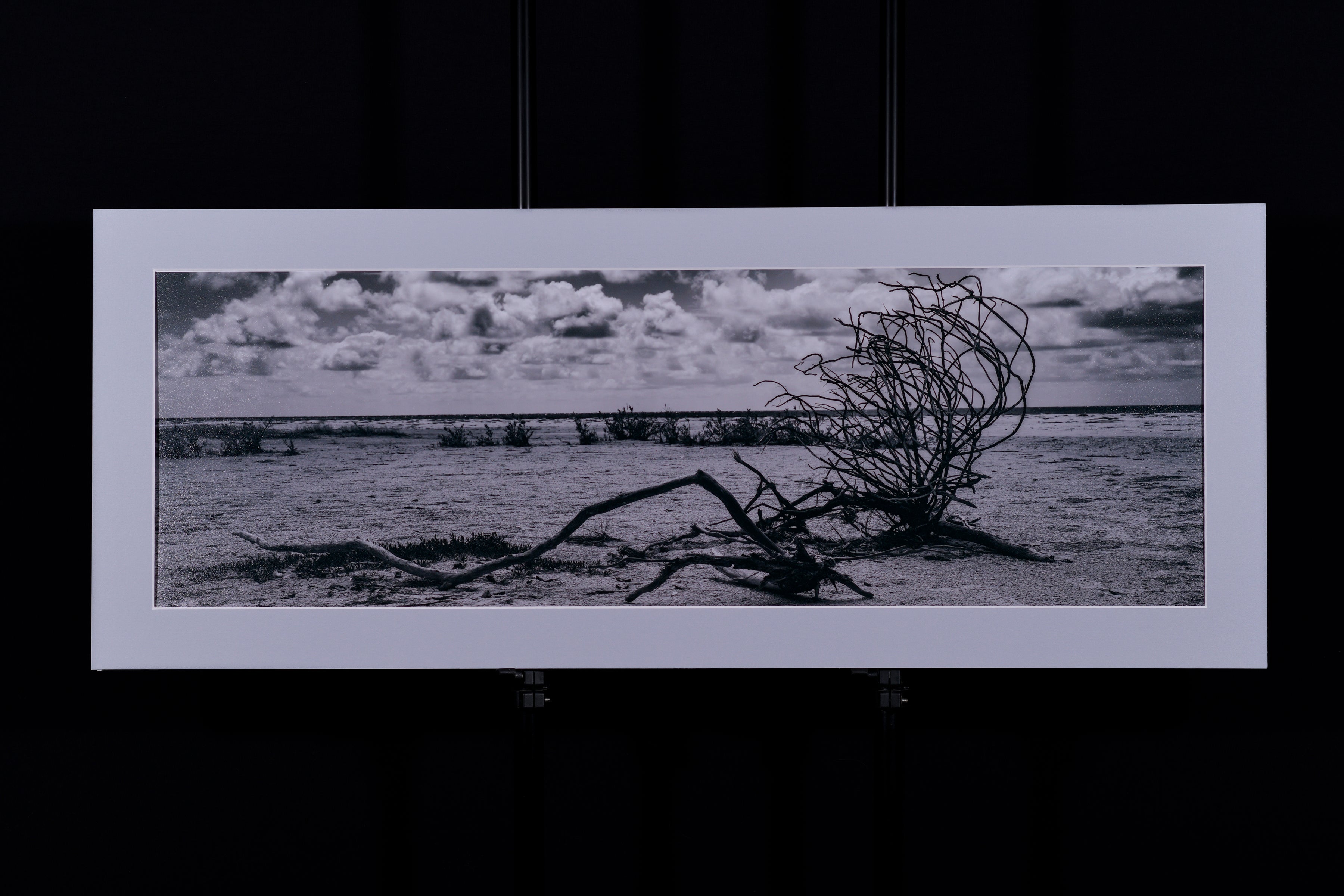 Fine Art Photograph, Untitled 01, 10"x30" print, 13"x33" Matboard