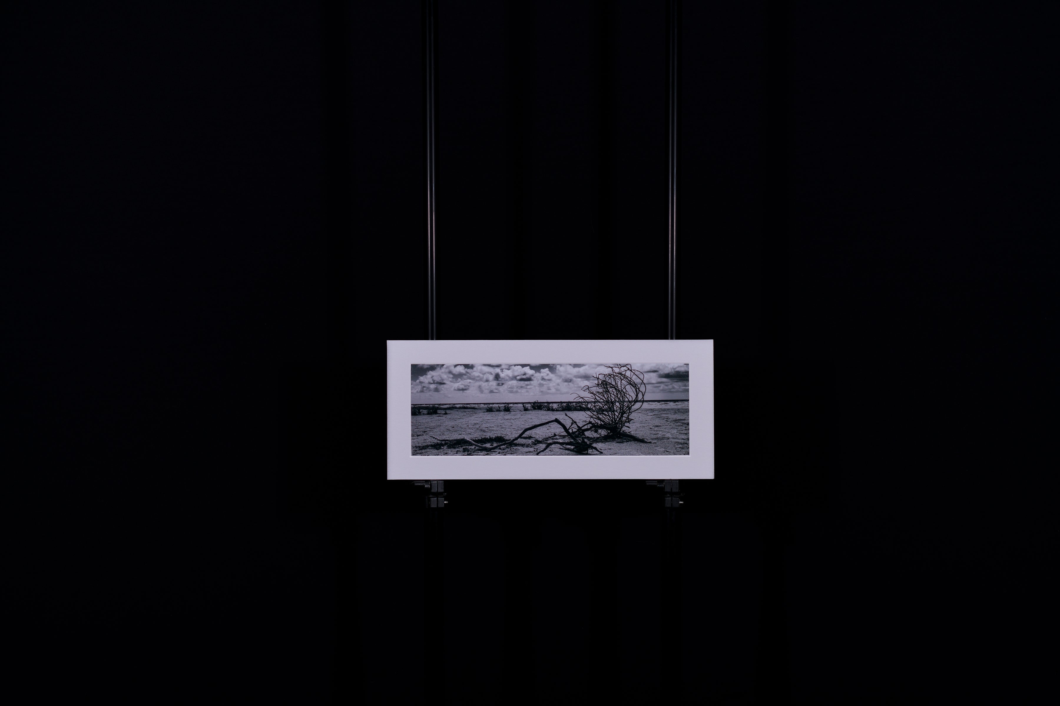 Fine Art Photograph, Untitled 01, 4"x12" print, 6"x14" Matboard