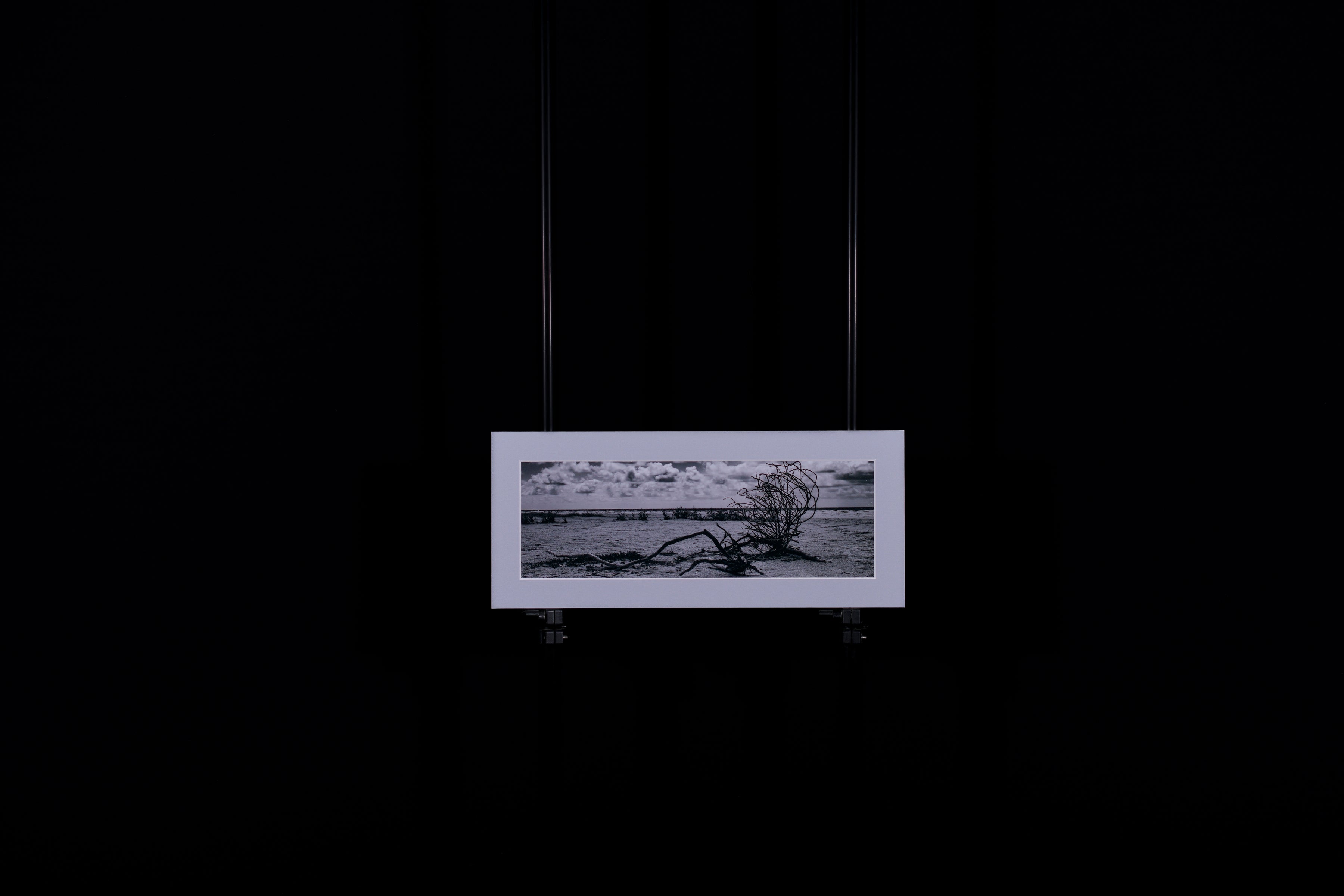 Fine Art Photograph, Untitled 01, 4"x12" print, 6"x14" Matboard