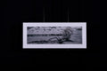 Fine Art Photograph, Untitled 01, 8"x24" print, 11"x27" Matboard