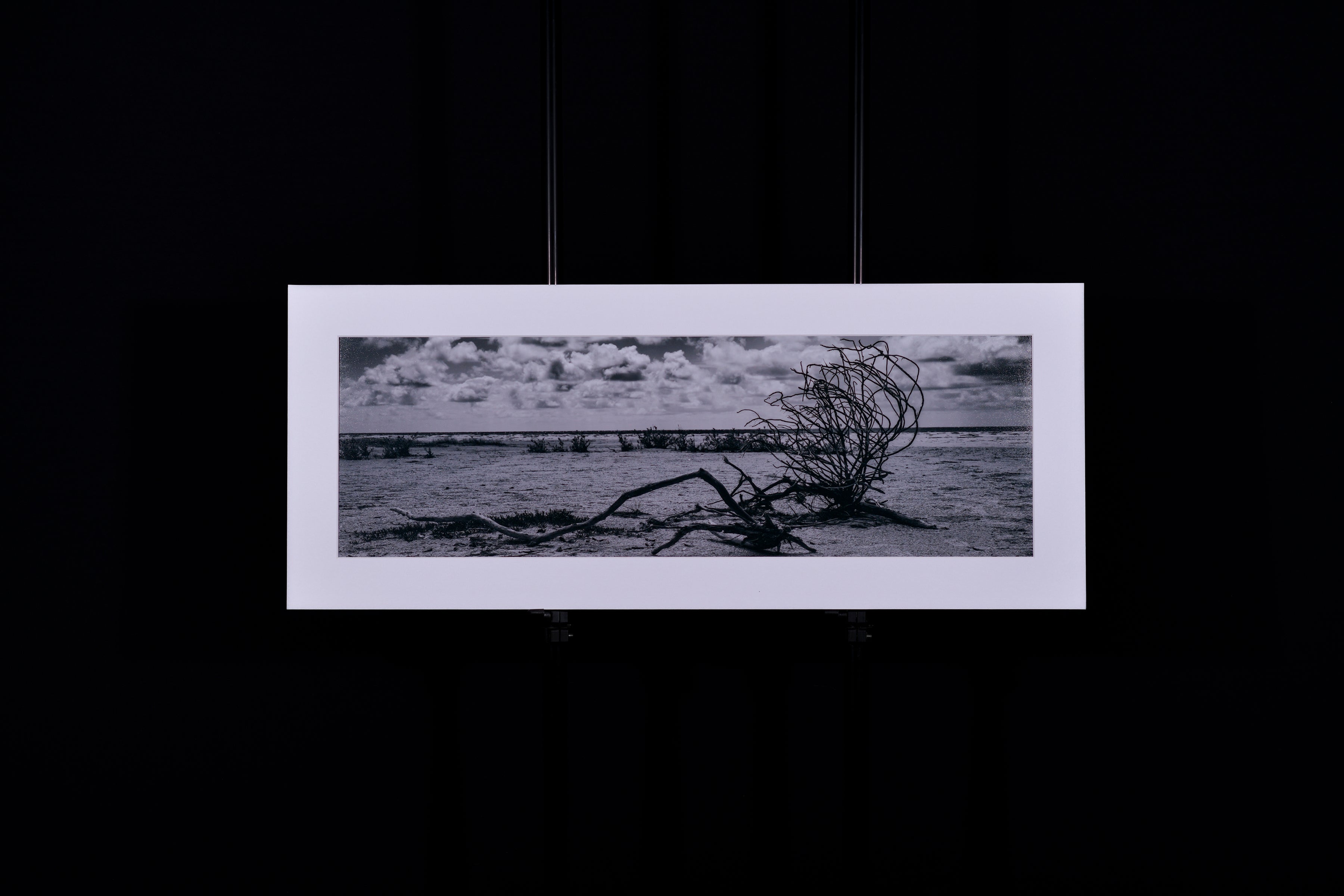 Fine Art Photograph, Untitled 01, 8"x24" print, 11"x27" Matboard
