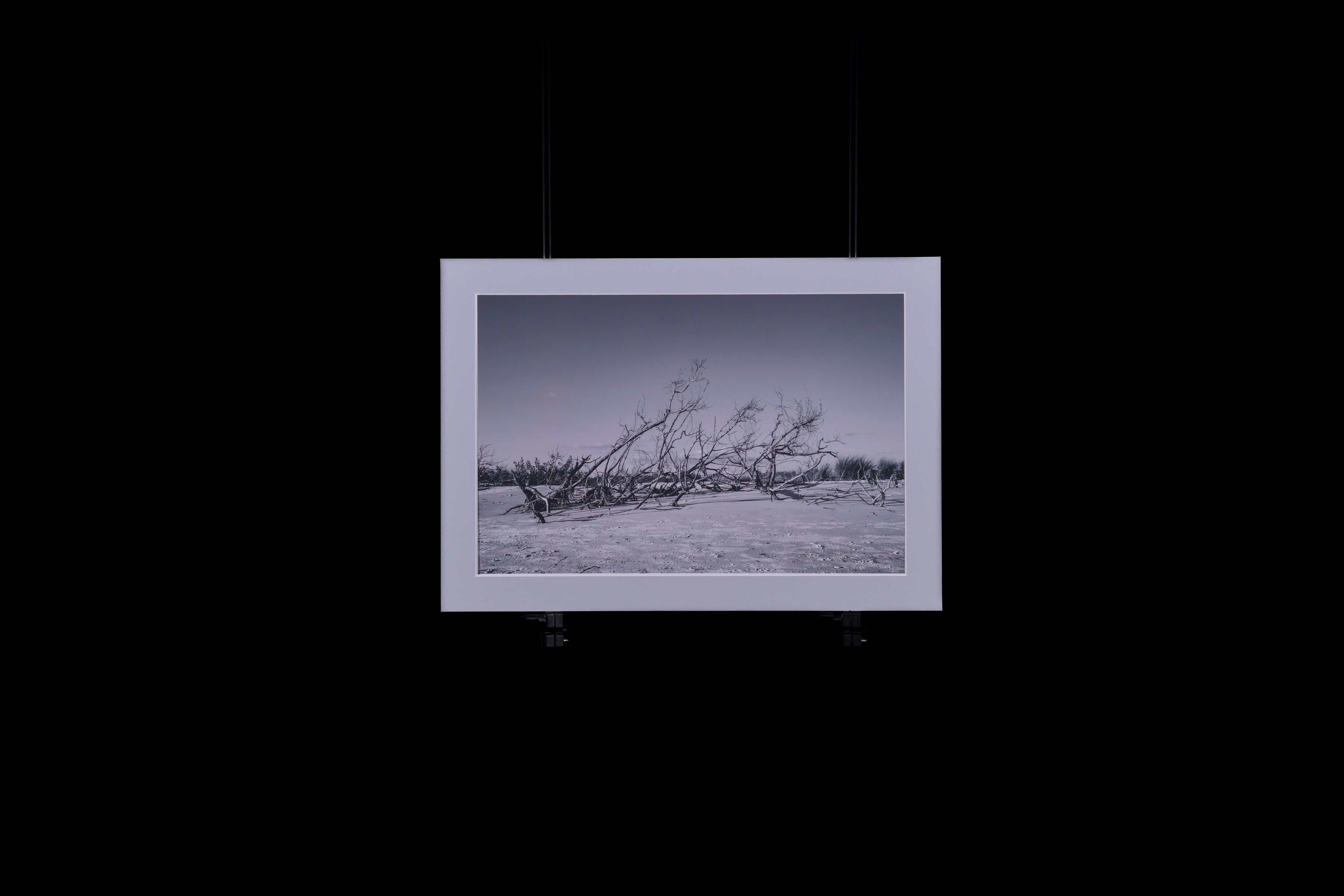 Fine Art Photograph, Untitled 02, 10"x15" print, Matboard 12"x17"