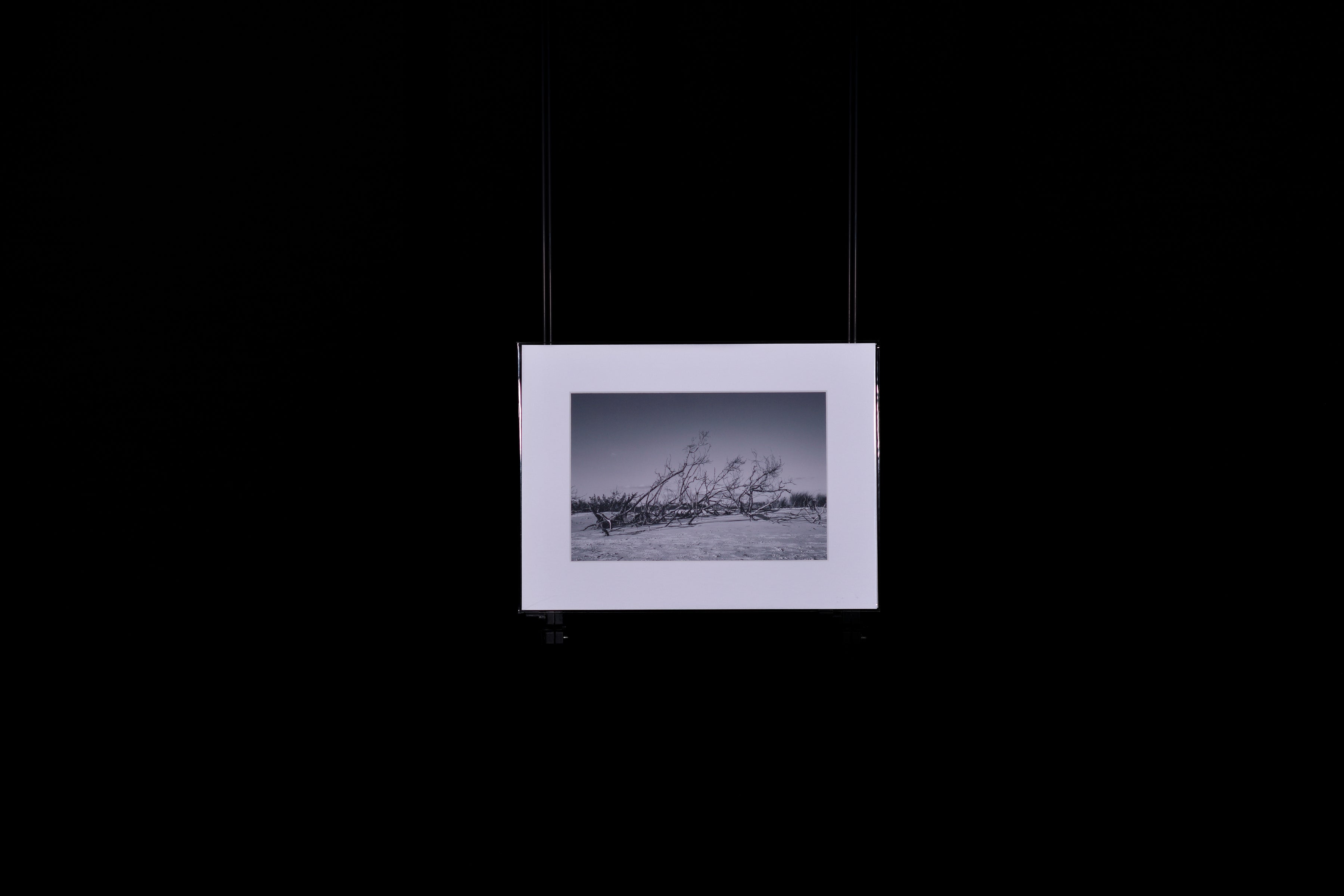 Fine Art Photograph, Untitled 02, 6"x9" print, Matboard 9"x12"