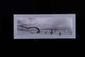 Fine Art Photograph, Anyway the Wind Blows, 10"x30" print, 13"x33" Matboard