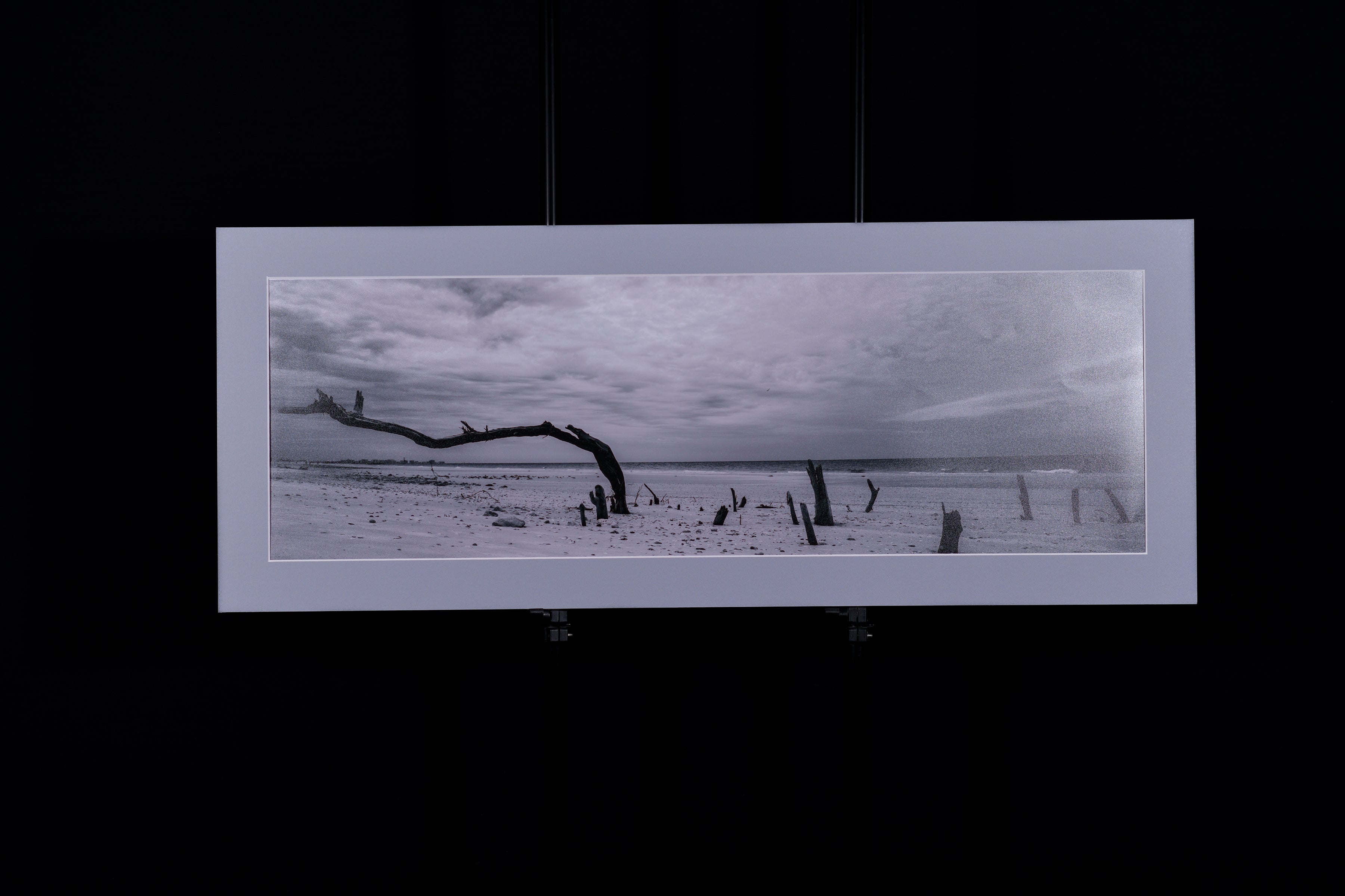 Fine Art Photograph, Anyway the Wind Blows, 10"x30" print, 13"x33" Matboard