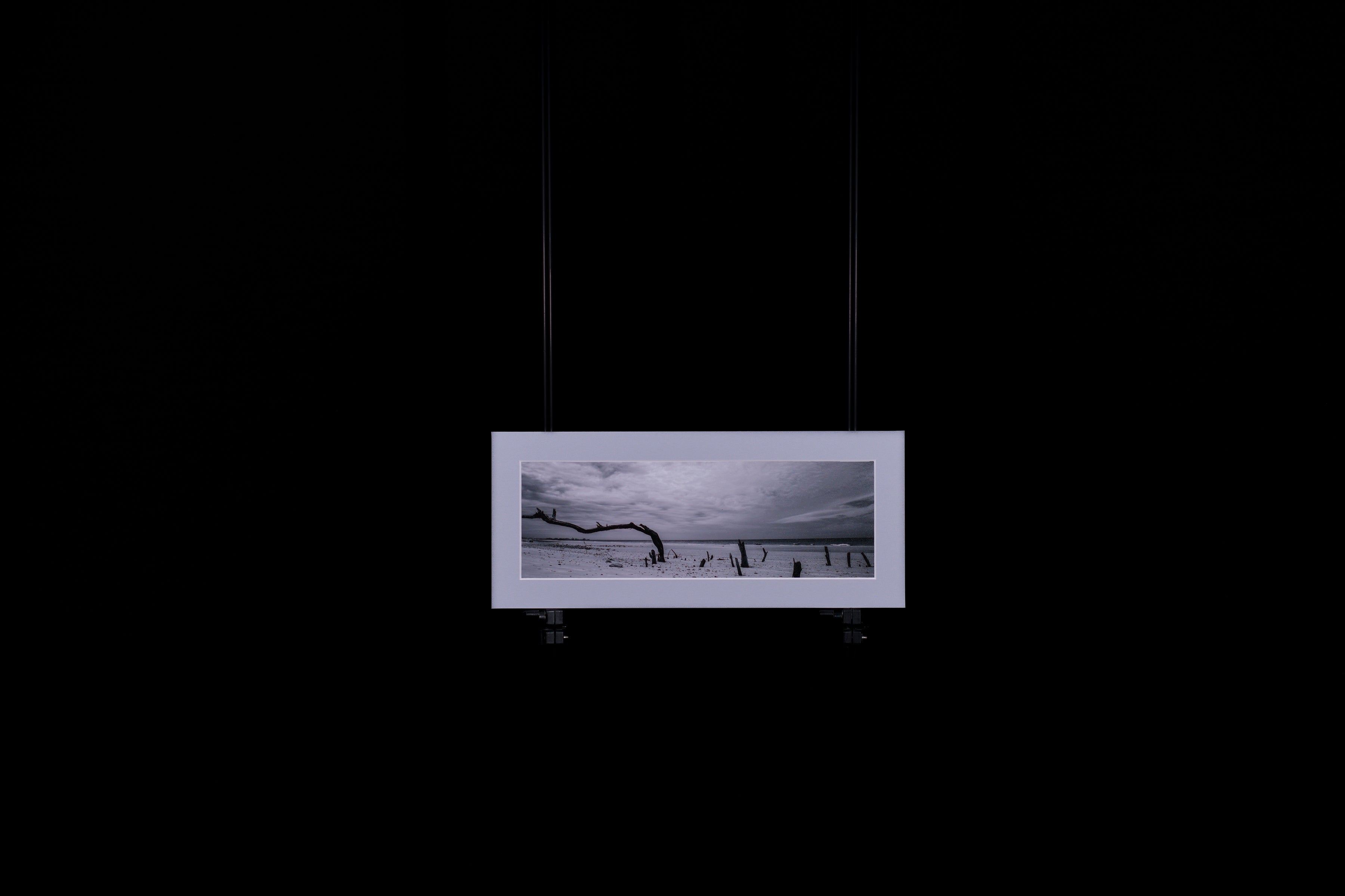 Fine Art Photograph, Anyway the Wind Blows, 4"x12" print, 6"x14" Matboard