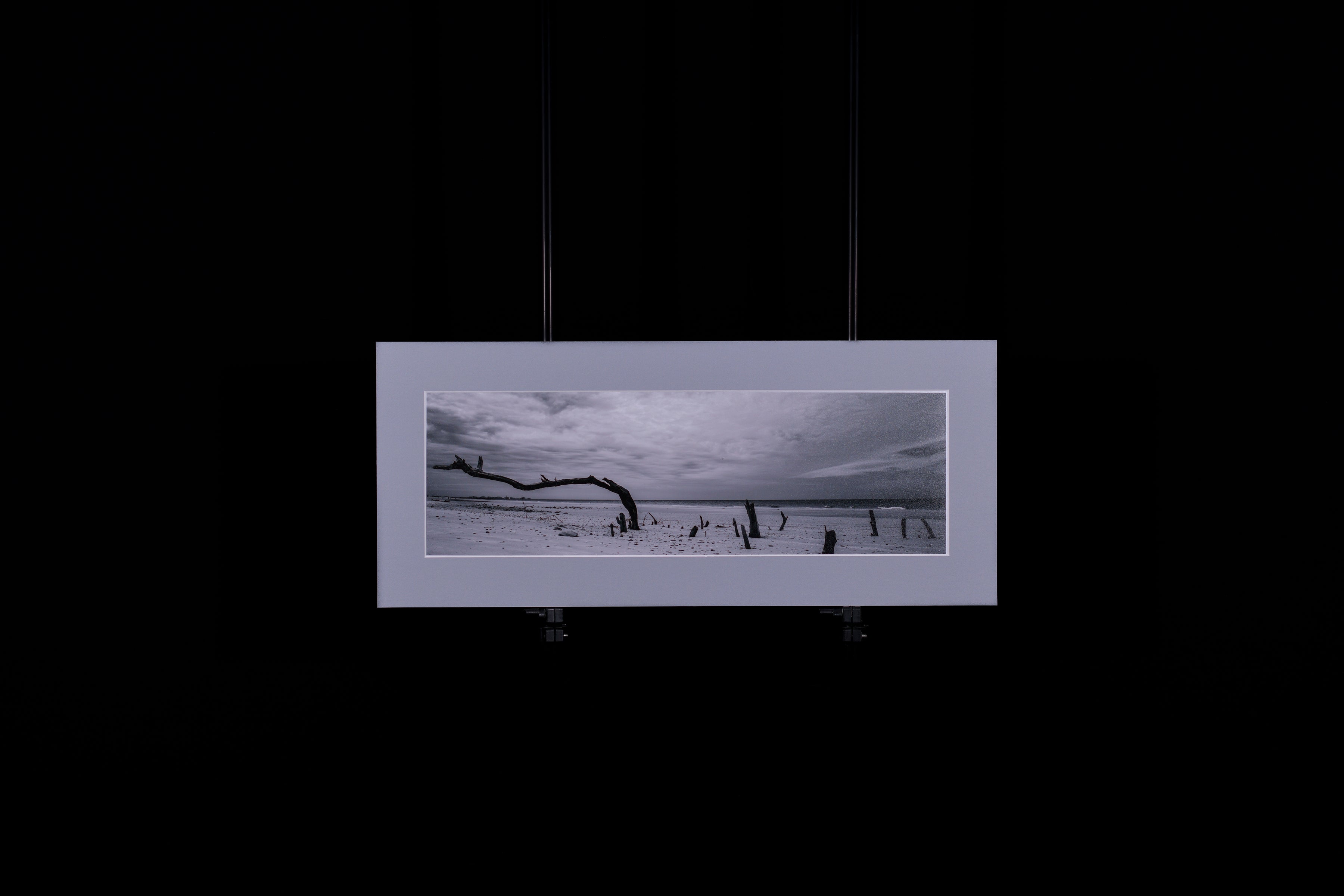 Fine Art Photograph, Anyway the Wind Blows, 6"x18" print, 9"x21" Matboard