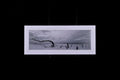 Fine Art Photograph, Anyway the Wind Blows, 8"x24" print, 11"x27" Matboard